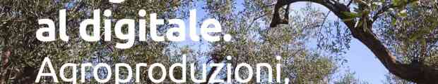 Agroproduzioni, marketing, turismo: quali prospettive?